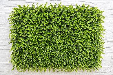 《湮灭线》将于1月25日V1.0转正——最终章节湮灭神殿，全新设计的女性机甲